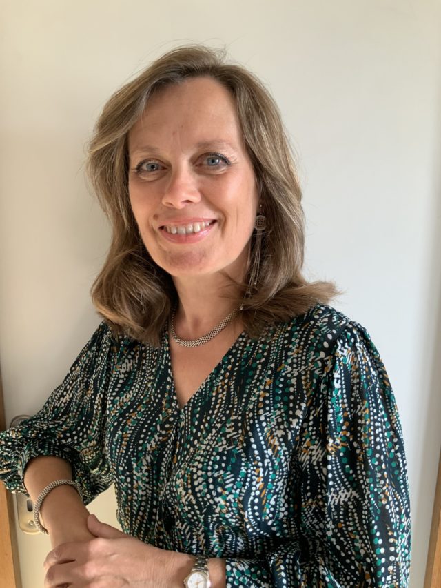 Le conseil municipal Ville d'Isneauville